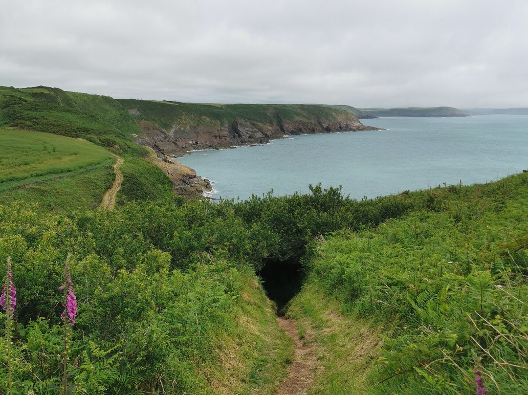Wales Coastal Path-St. Davids必去景点