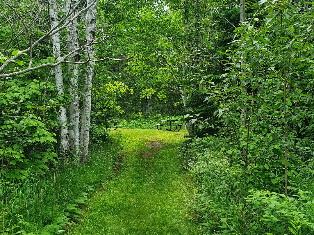 Split Rock Lighthouse State Park-Two Harbors必去景点