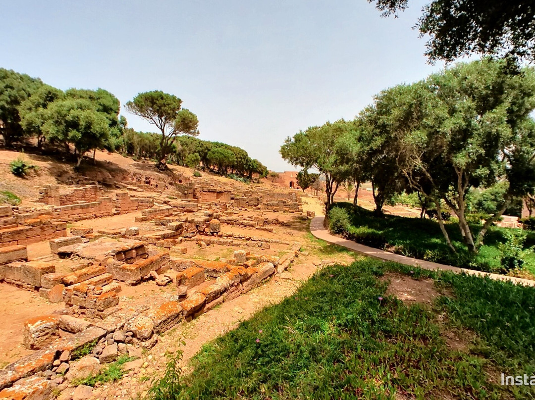 Fes Cooking & Cultural Tours-非斯必去景点