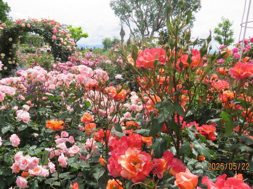 Biwako Otsukan-大津市必去景点