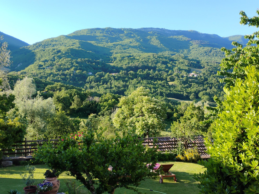 Podere Fabbrani