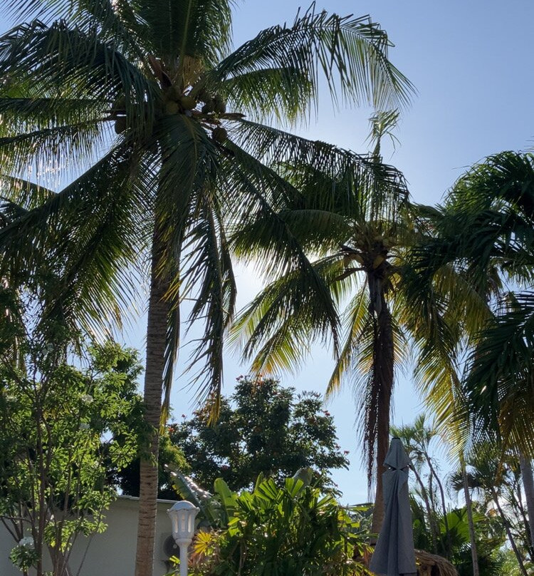 B&B Sombre di Kabana主图