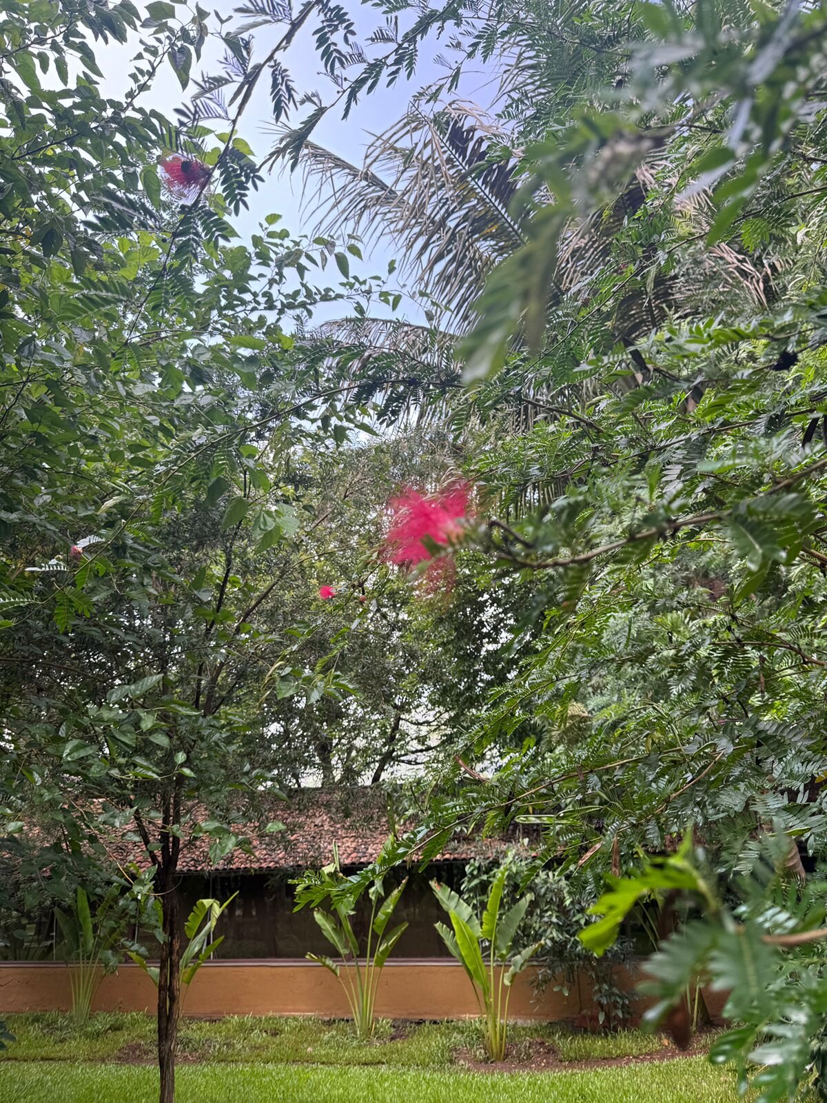 Jalsrushti Island Resort-官方