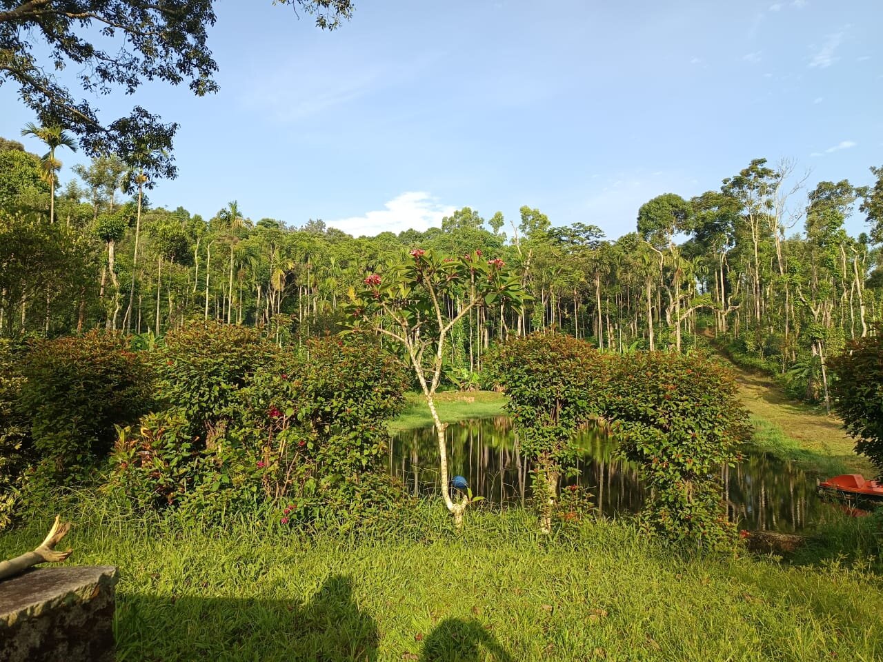The Hidden Valley-酒店景观