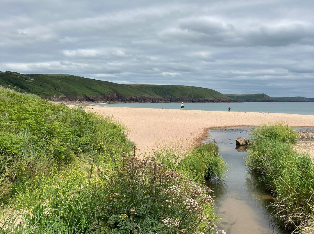 Freshwater East Beach景点图片