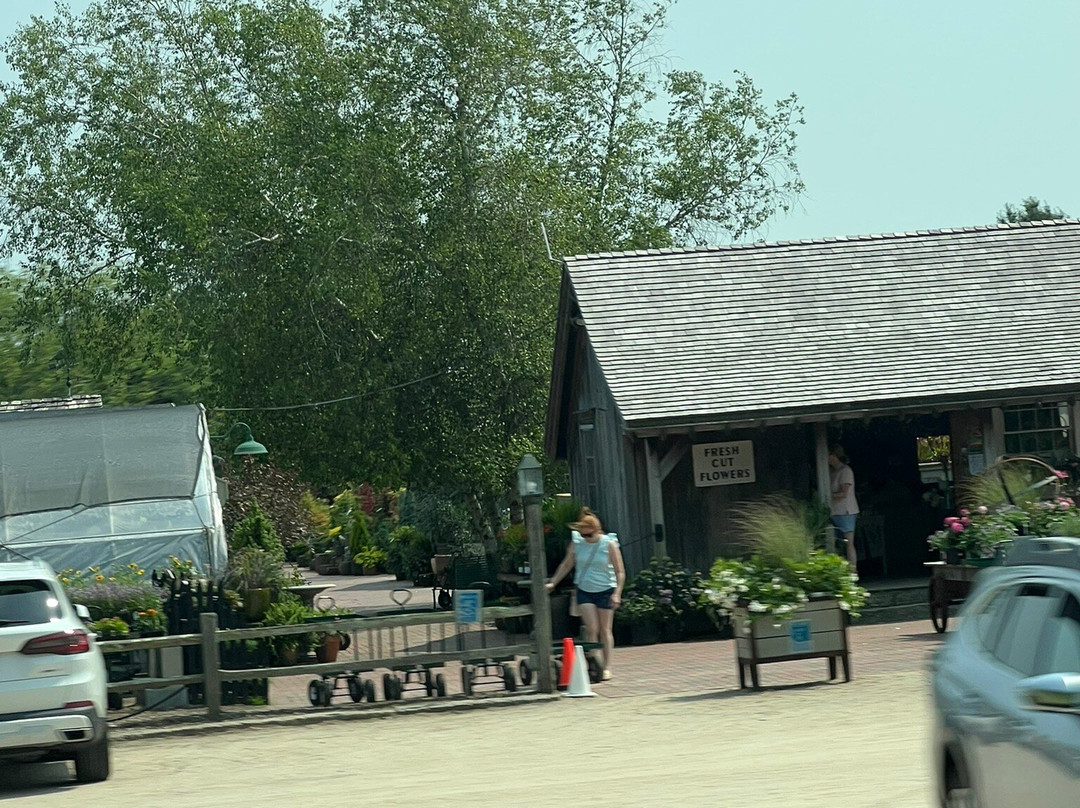 The Farmer's Daughter景点图片