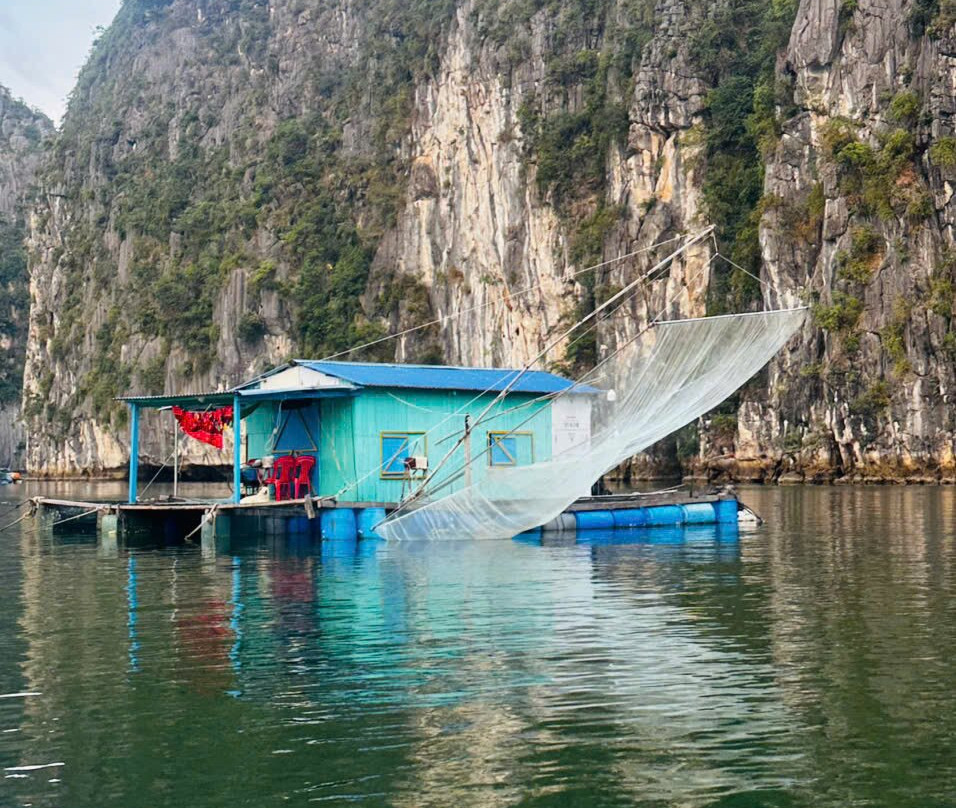 Blue Swimmer Sailing-卡巴必去景点