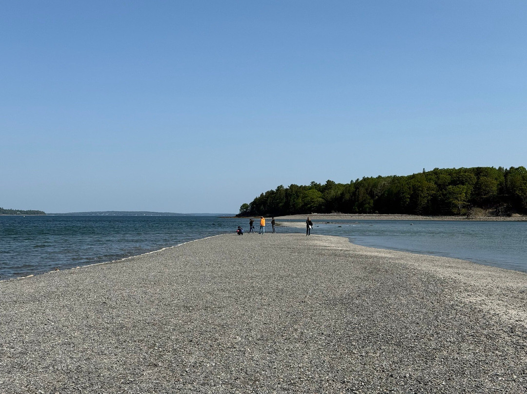 Land Bridge to Bar Island-巴港必去景点