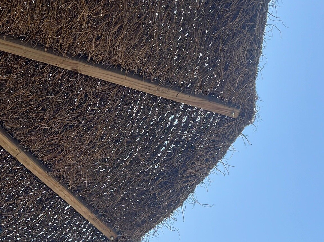 Jolly Park-Dragoni必去景点