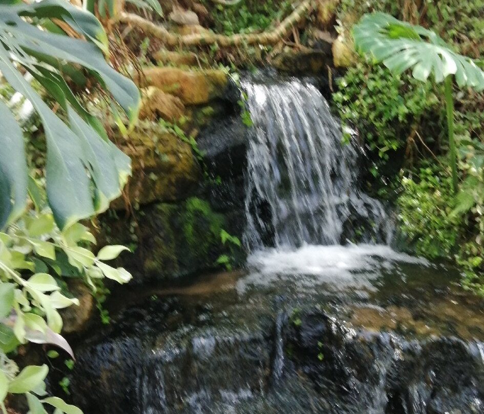 Stratford Butterfly Farm-埃文河畔斯特拉特福必去景点