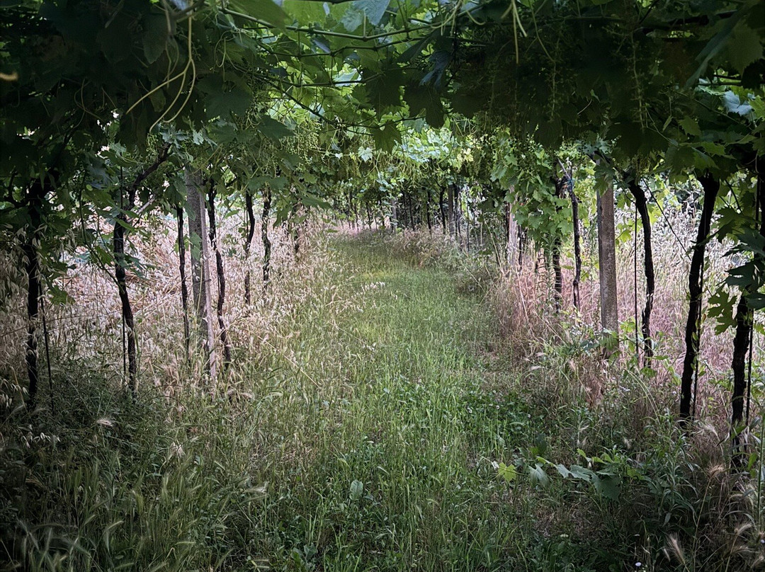 Relais Des Roches主图