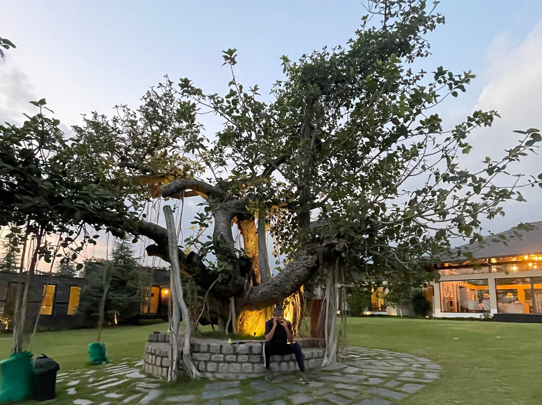 Storii by ITC Hotels Amoha Retreat主图