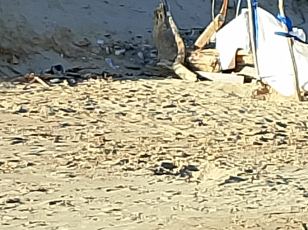 Spiaggia di Torre Pali-Salve必去景点