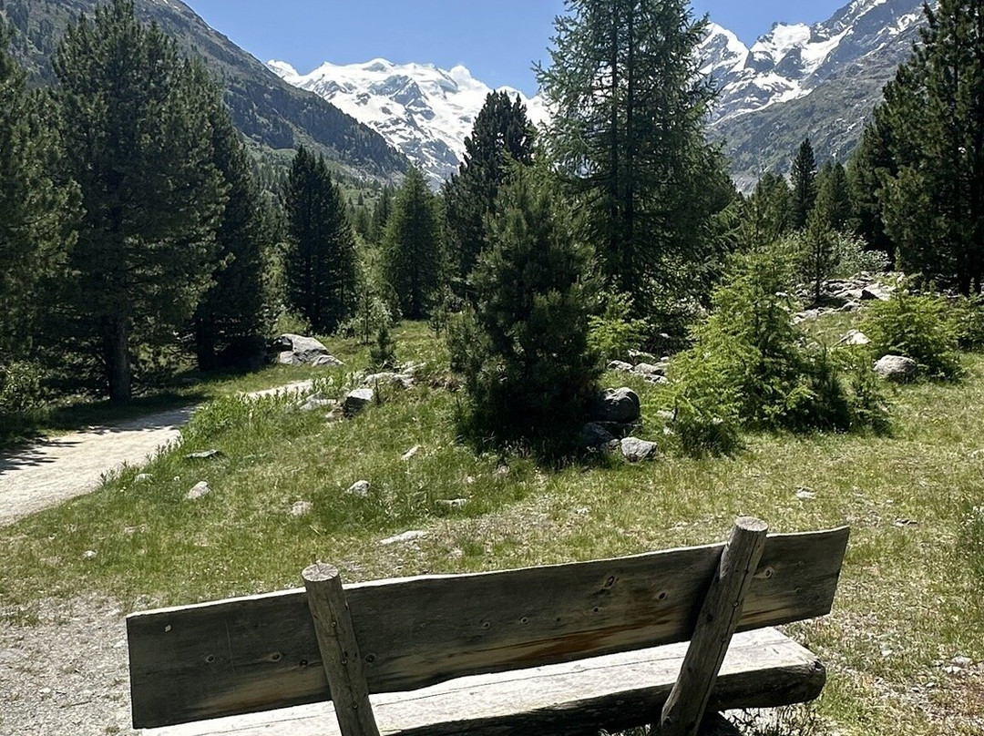 Morteratsch Glacier-Pontresina必去景点