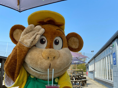 Little Monkeys-赫尔河畔金斯顿必去景点