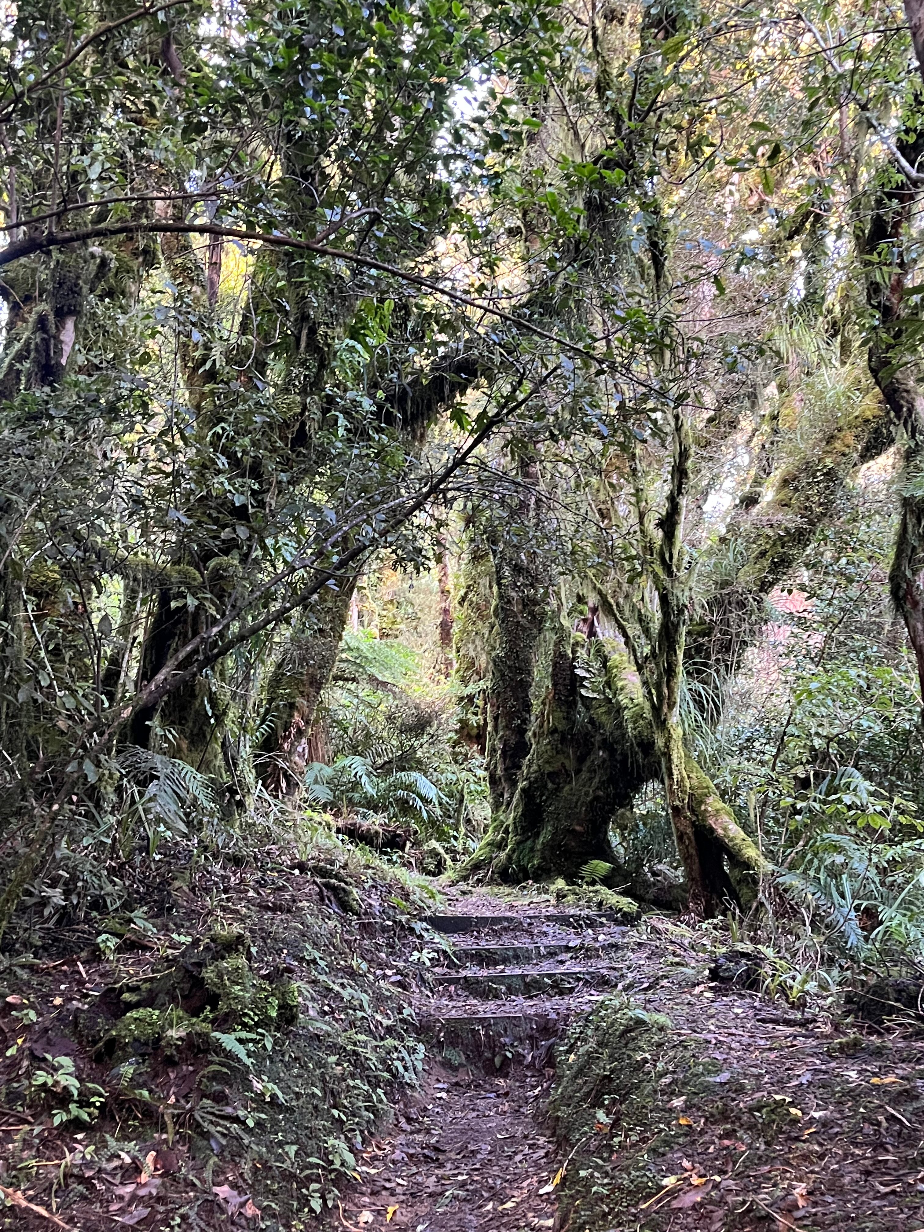 Ngati Ruanui Stratford Mountain House Hotel-官方