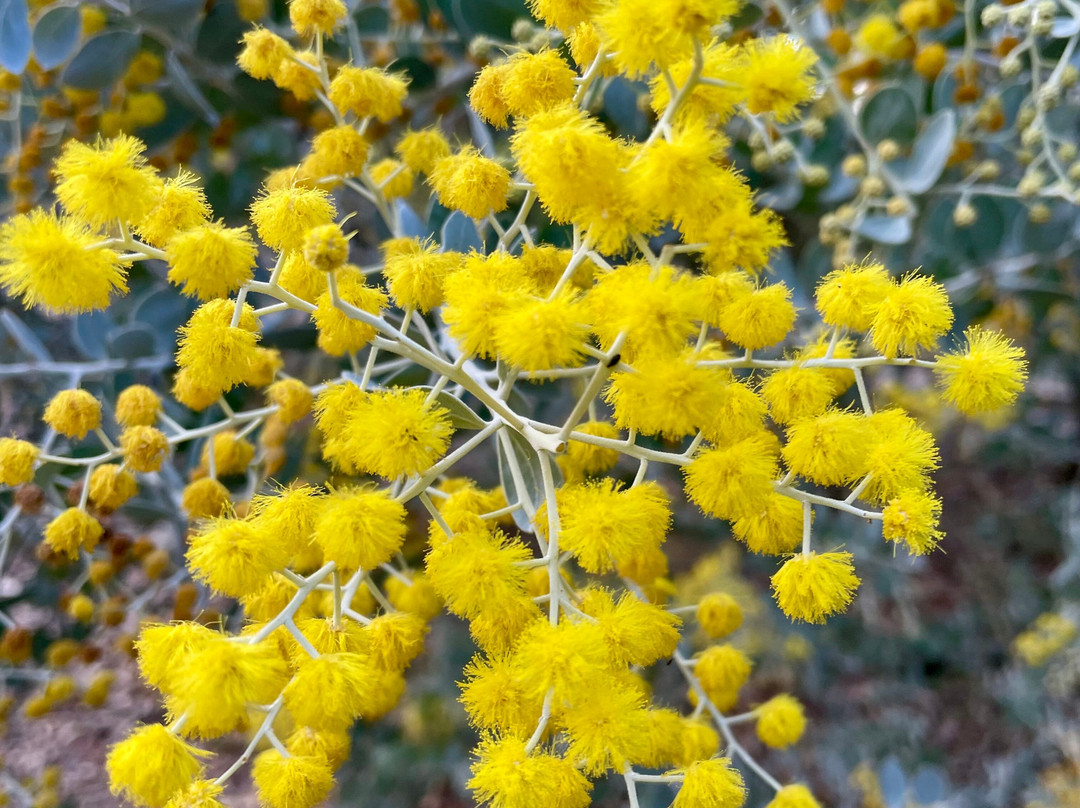 Nyerimilang Heritage Park-莱克斯恩特伦斯必去景点