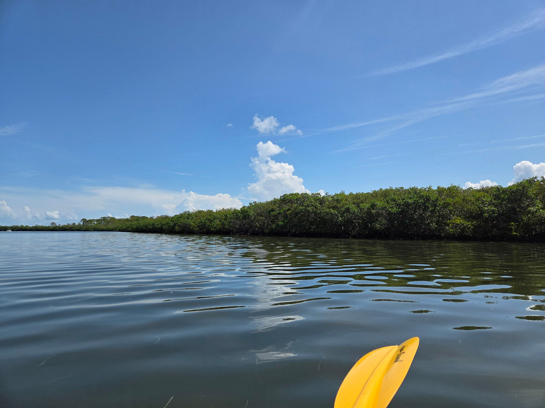 Paddle Out Adventures-克利尔沃特必去景点