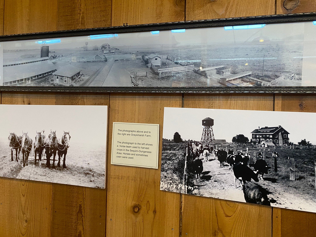 Sequim Museum & Arts-塞奎姆必去景点