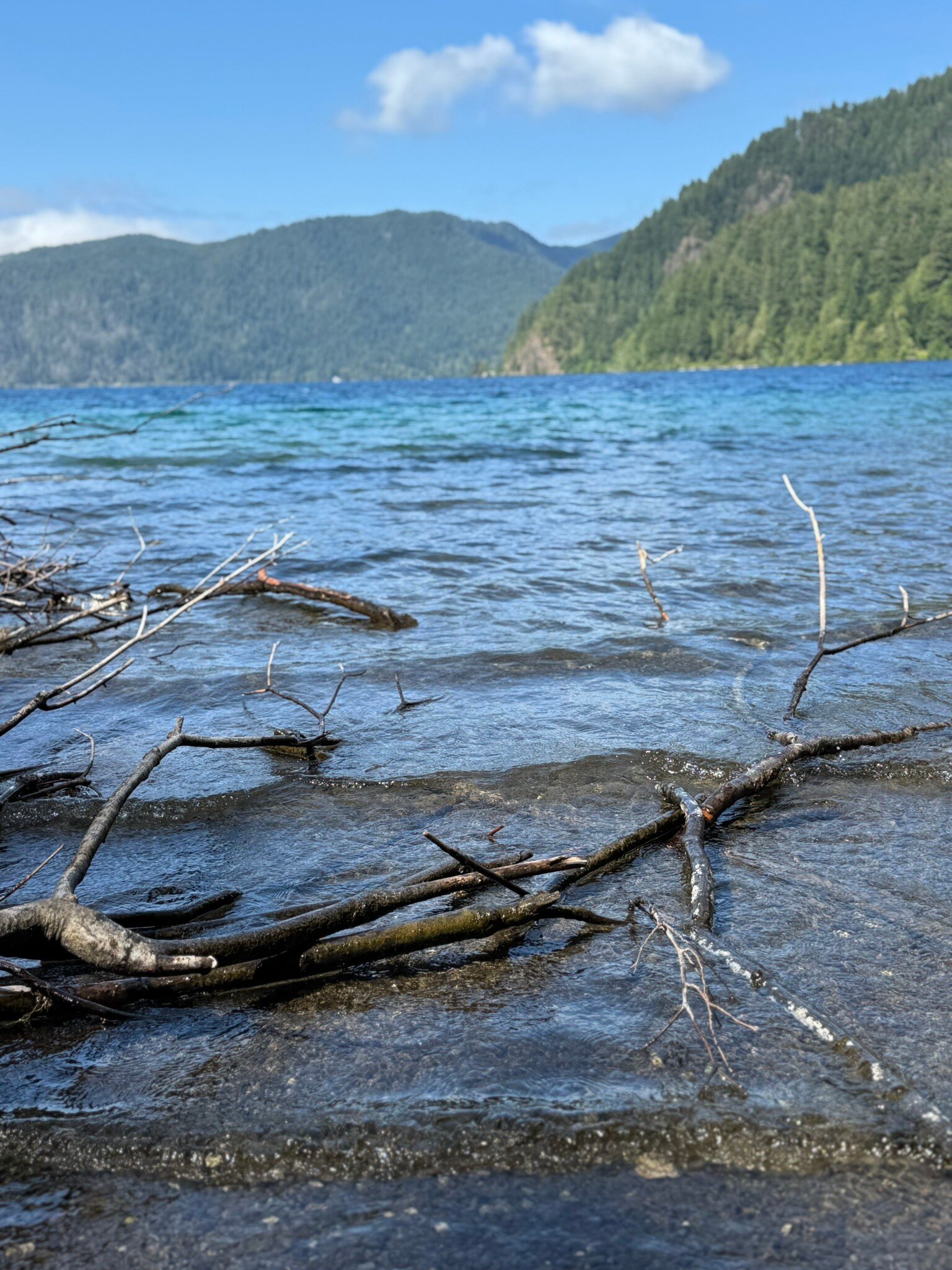新月湖酒店-官方
