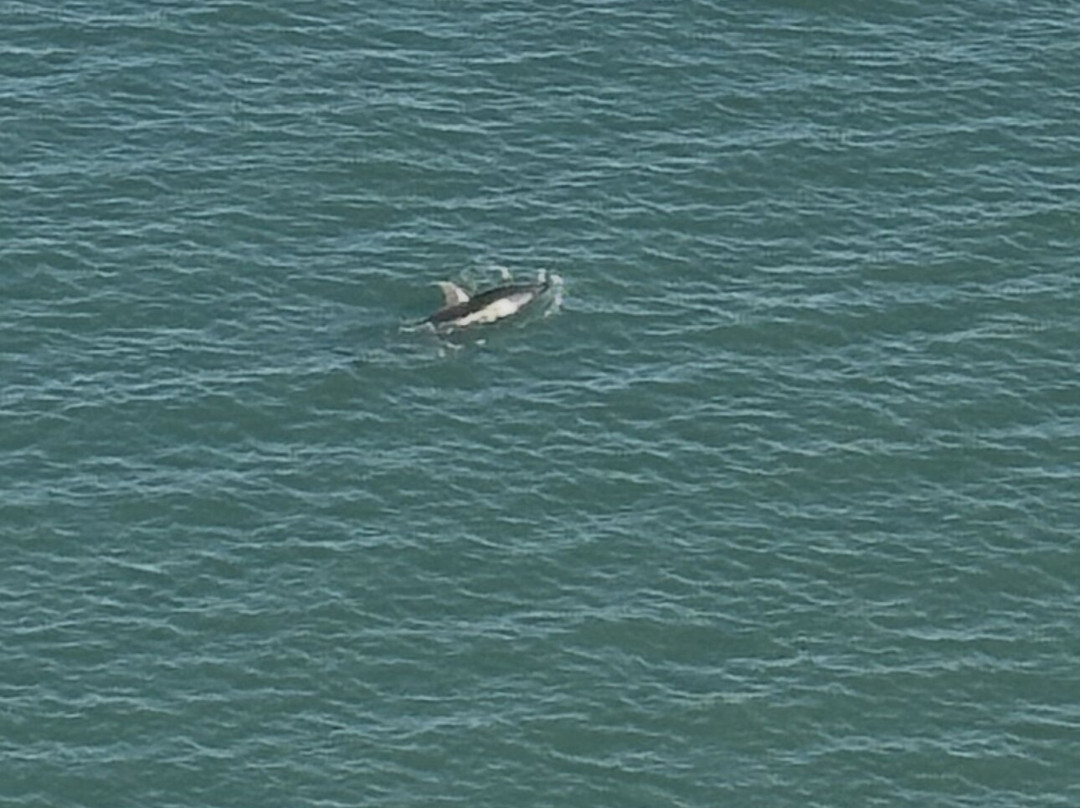 Clearwater Beach Marriott Resort on Sand Key主图