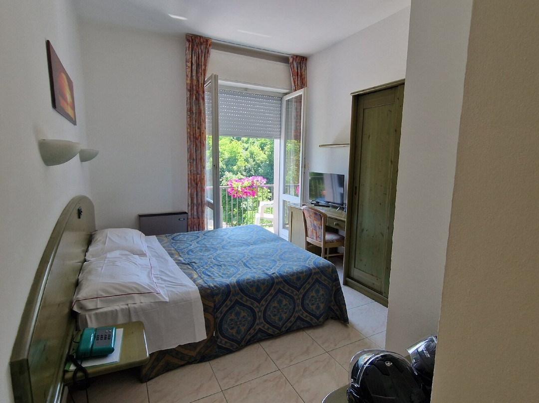 Hotel Salus主图