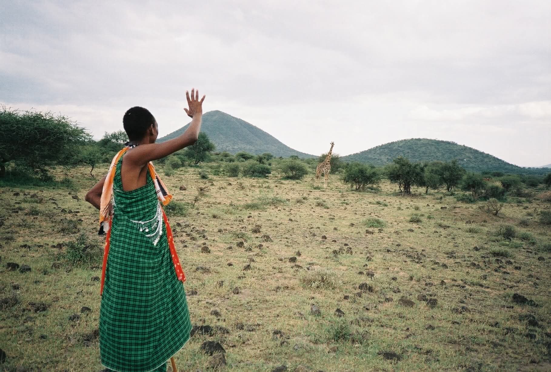 Maasailand Milele Tembo Lodge-官方