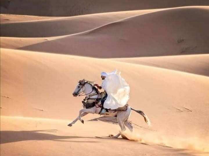 Centre Dar Equestre-阿伊特·本·哈杜筑垒村必去景点