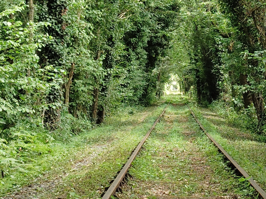 Velo-Rail-Commequiers必去景点