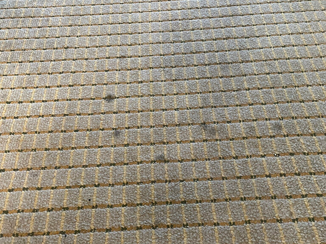 Holiday Inn Express & Suites Jacksonville By IHG主图