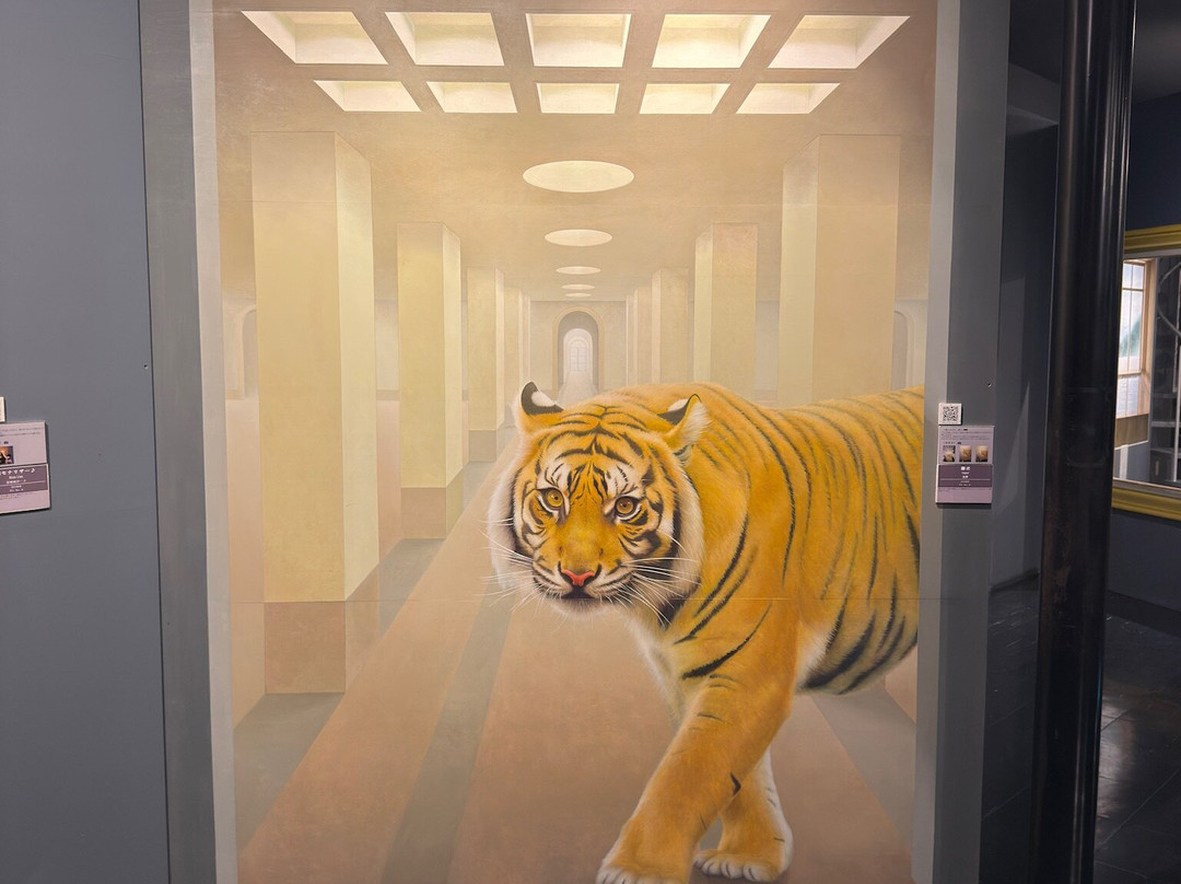 Kamifurano Trick Art Museum-上富良野町必去景点