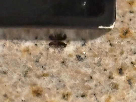 Cottonwood Airport & Expo Hotel Louisville主图