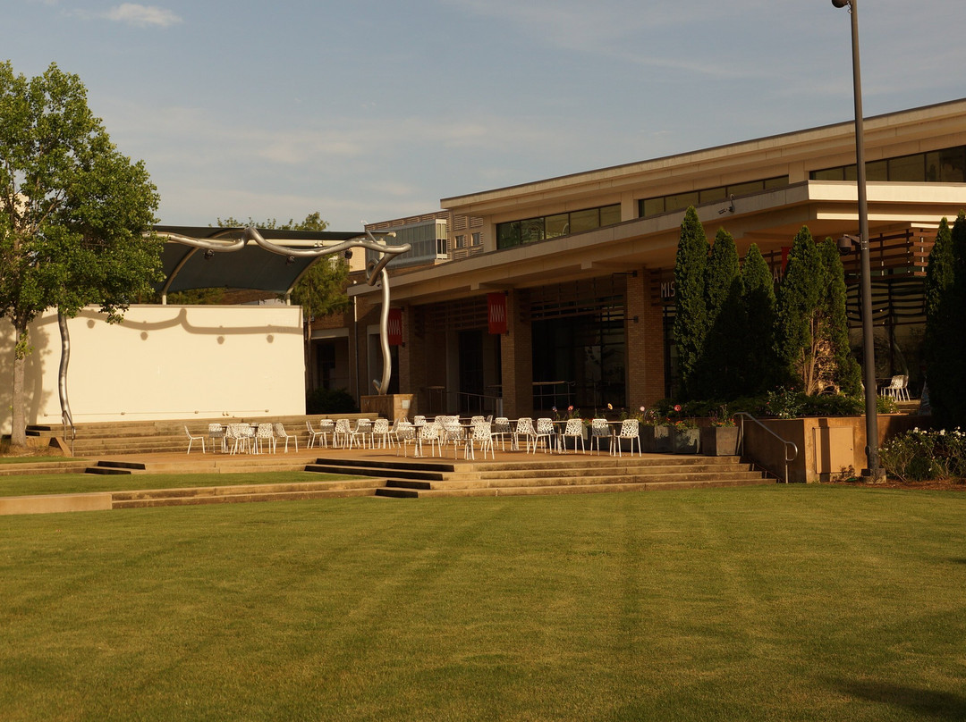 Mississippi Museum of Art-杰克逊必去景点
