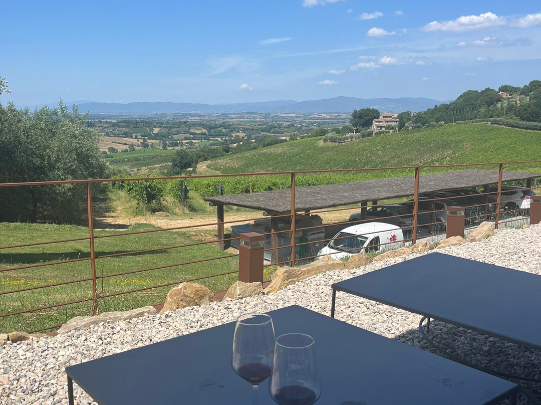 Icario Winery-蒙特普尔恰诺必去景点