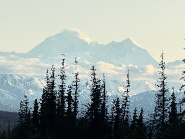 Denali Jeep Excursions-德纳利国家公园和自然保护区必去景点