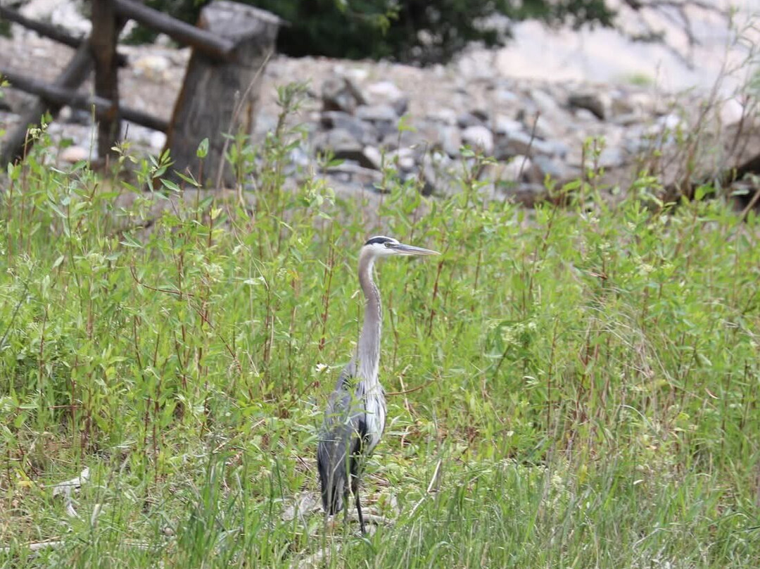 Rawhide Outfitters-Salmon必去景点