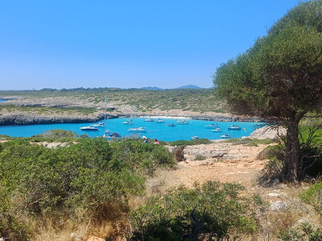 Cala Varques-Calas de Majorca必去景点