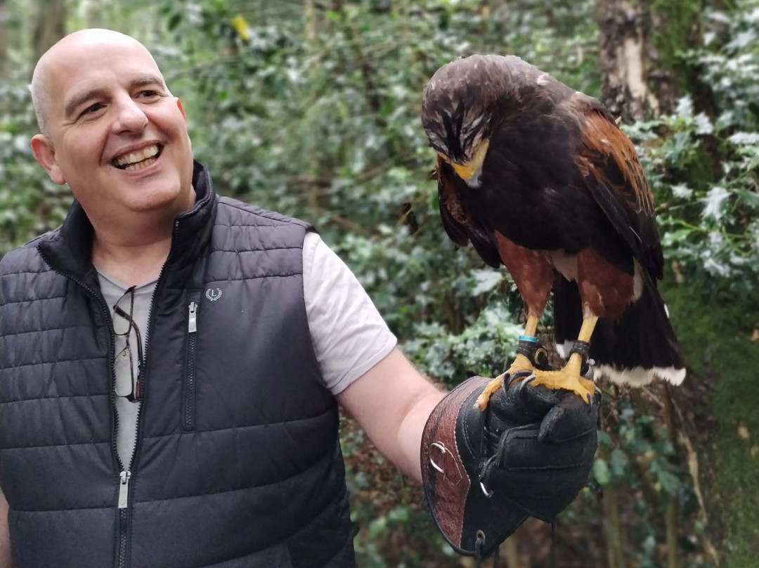 Cumberland Bird Of Prey Centre-卡莱尔必去景点