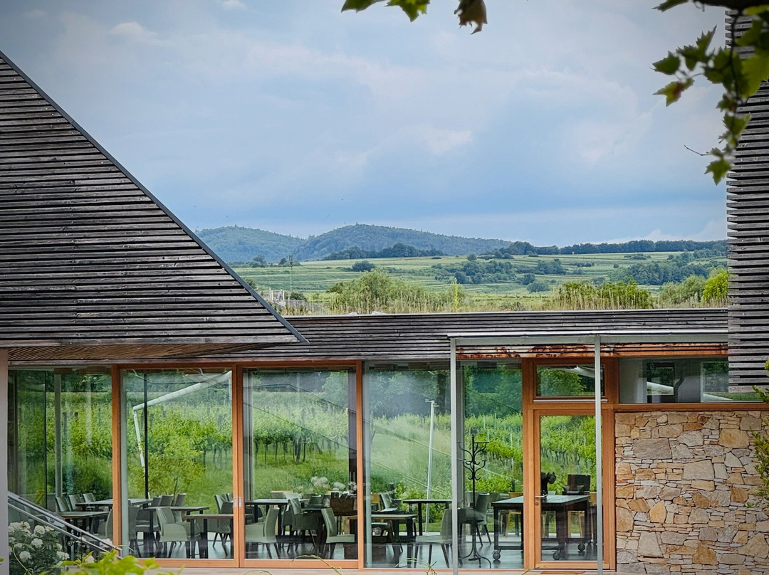 Malat Weingut und Hotel主图