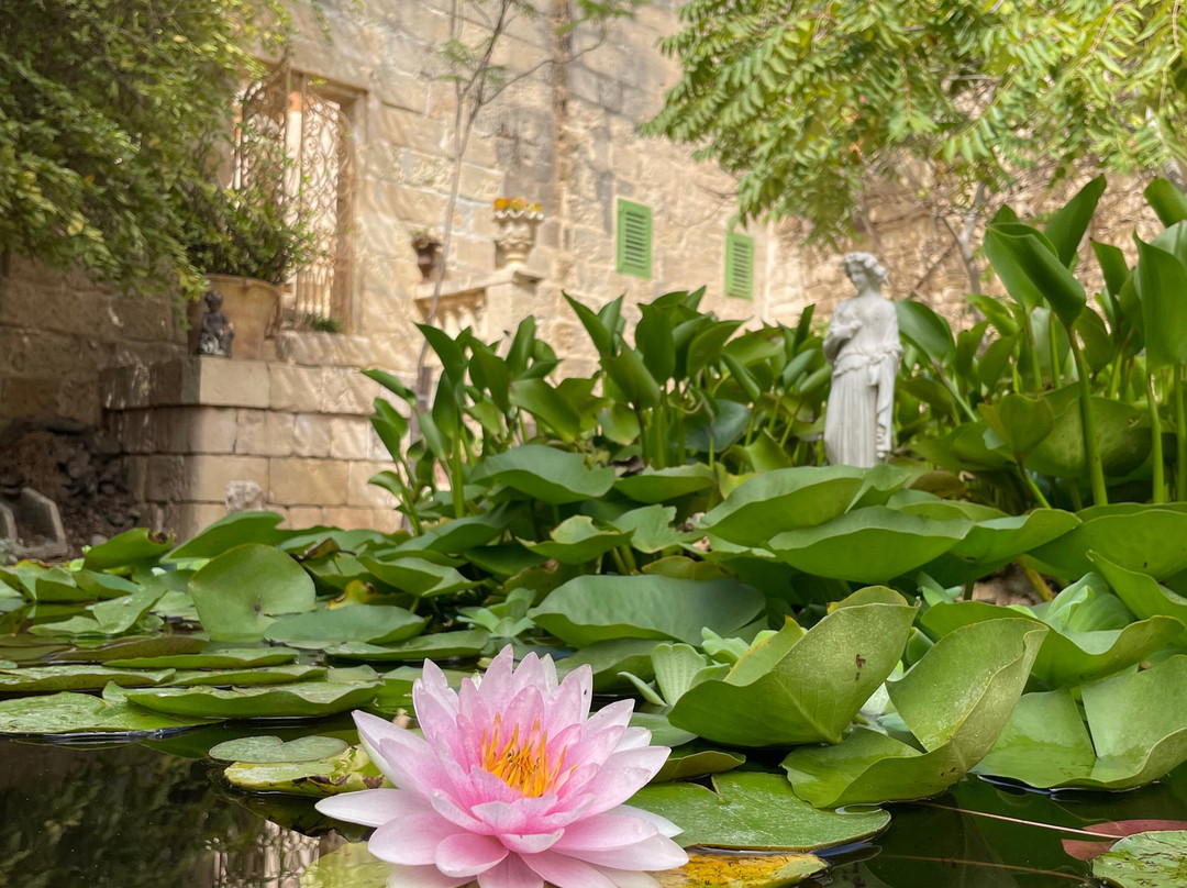 Friends of Villa Frere-Pieta必去景点