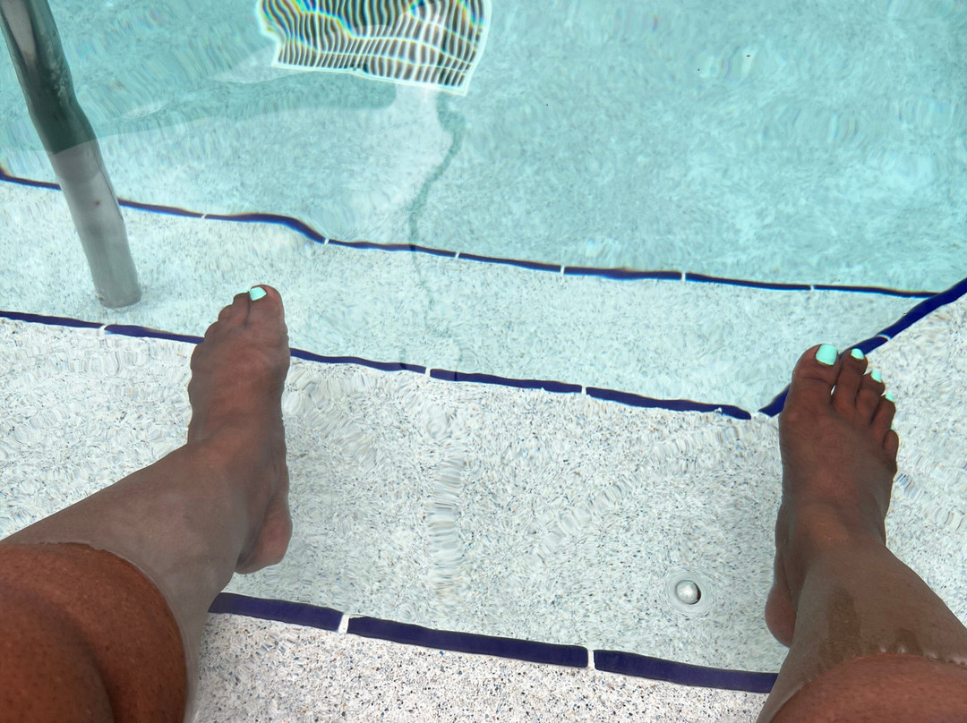 Fairfield by Marriott Inn & Suites Tampa North主图