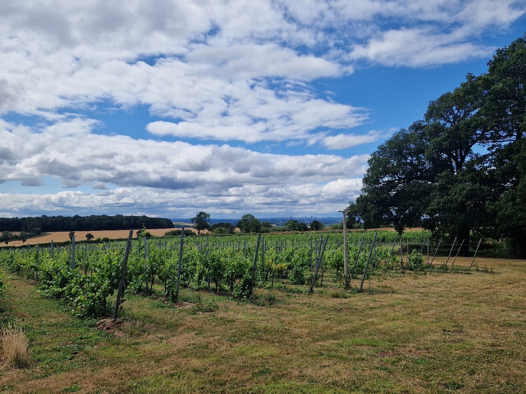 Blabers Hall Wine Estate-Fillongley必去景点