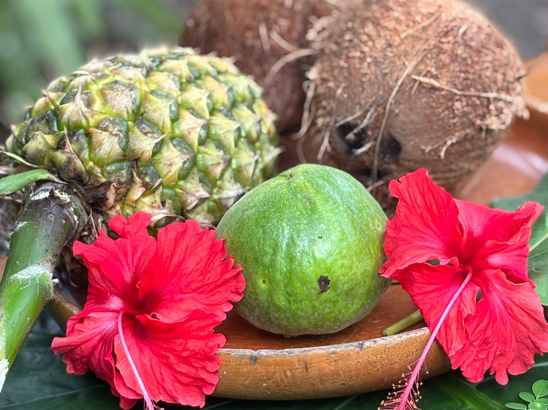 Shooting Star Studio-帕沃尼斯必去景点