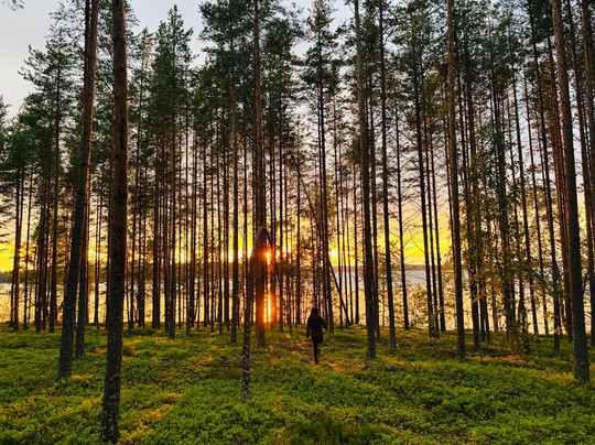 Open Shores Saimaa-萨翁林纳必去景点