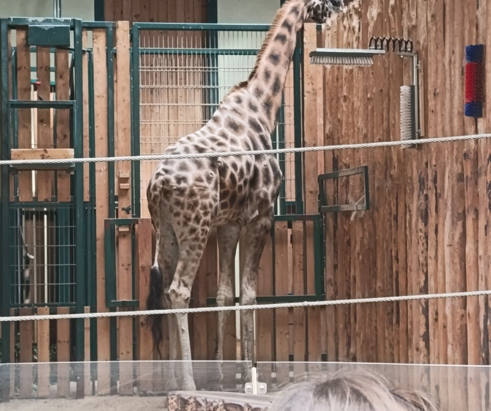 Oliwa Zoo-格但斯克必去景点