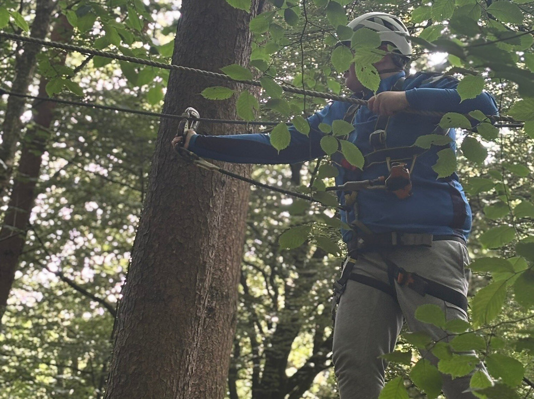 Craufurdland Tree Top Trials and Activities-Kilmarnock必去景点