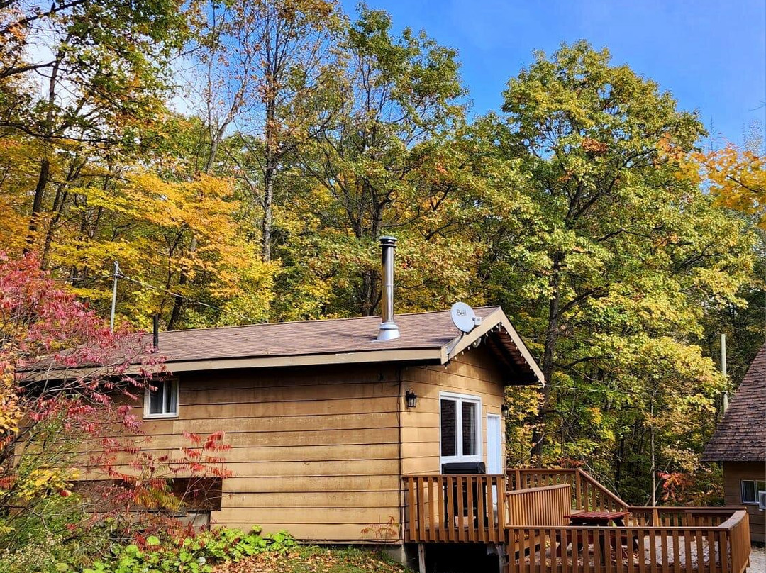 Sandy Lane Resort主图