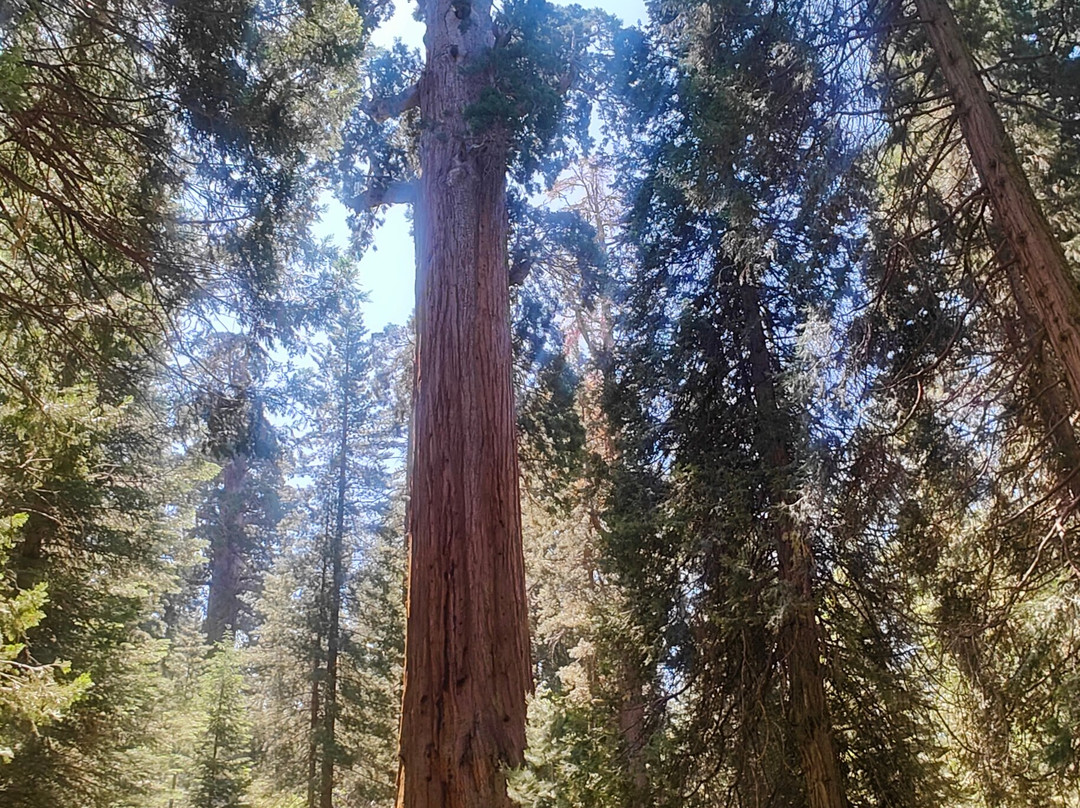 Mountain Trekking Adventures-Three Rivers必去景点