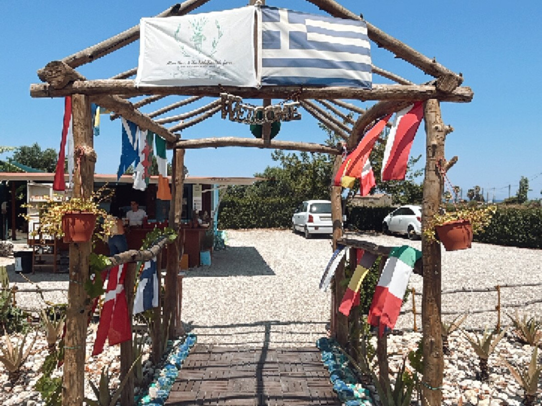 Aloe Vera & Herbal Health Farm-Fanes必去景点