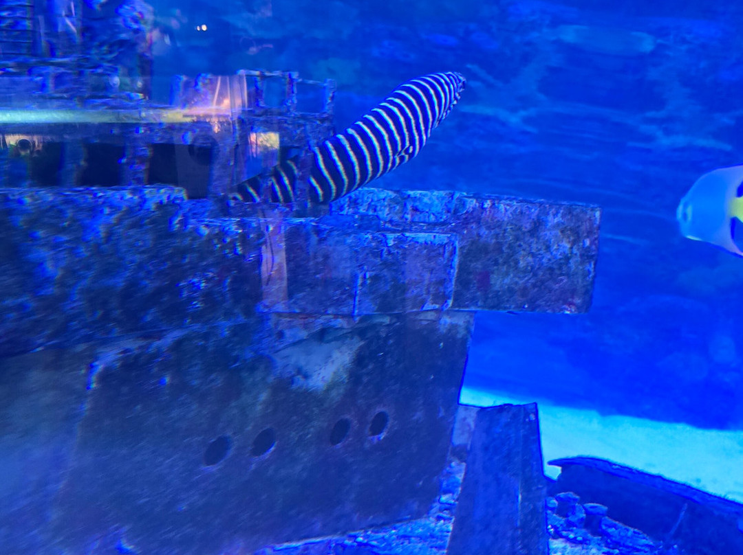 IMAG History & Science Center-迈尔斯堡必去景点